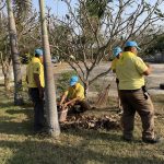 427861215_706044311710328_3100721969321337442_n