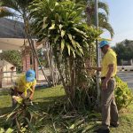 427866879_706043721710387_8232488985115619906_n